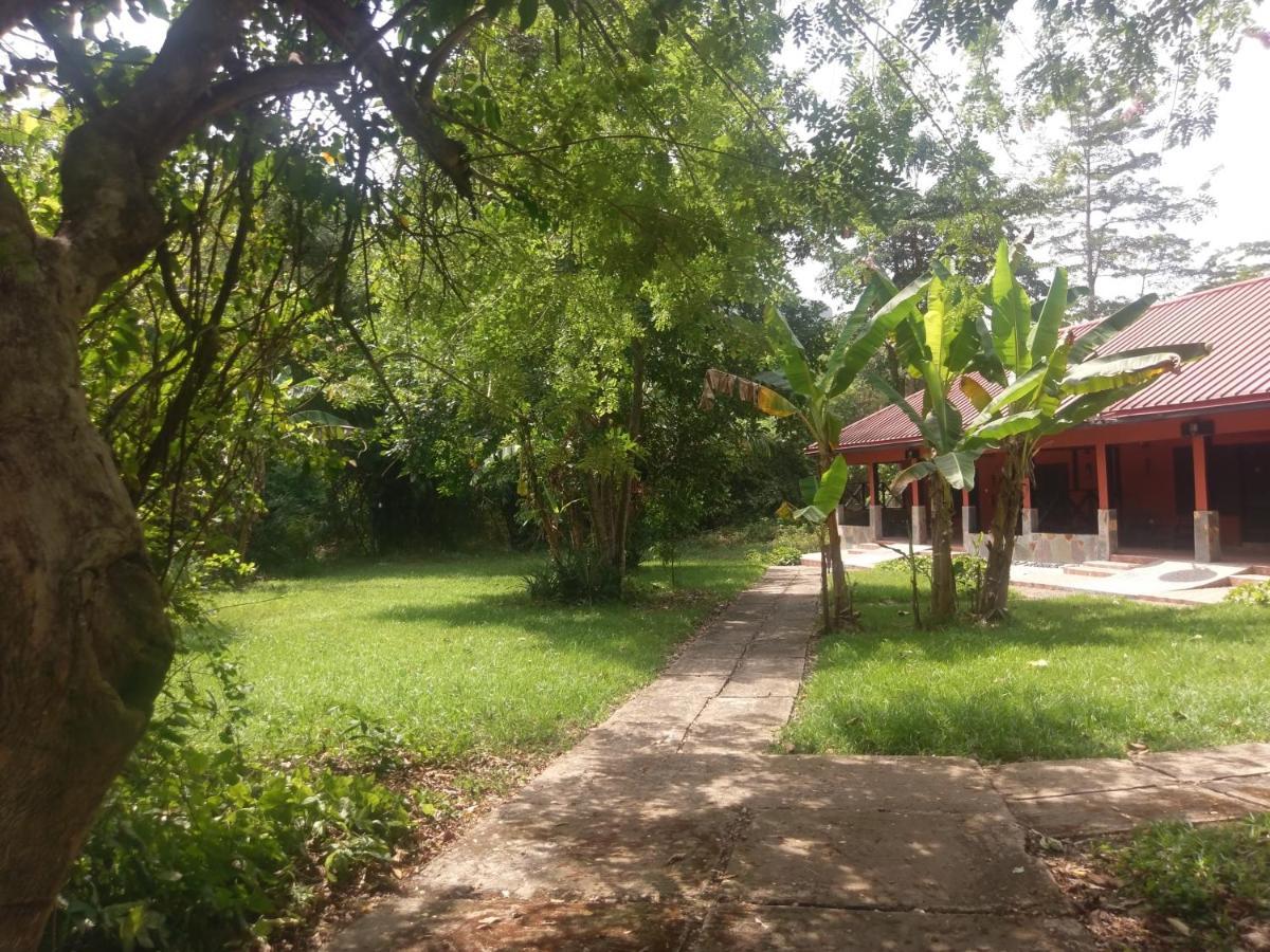 Big Foot Safari Lodge Wli Afegame Kültér fotó
