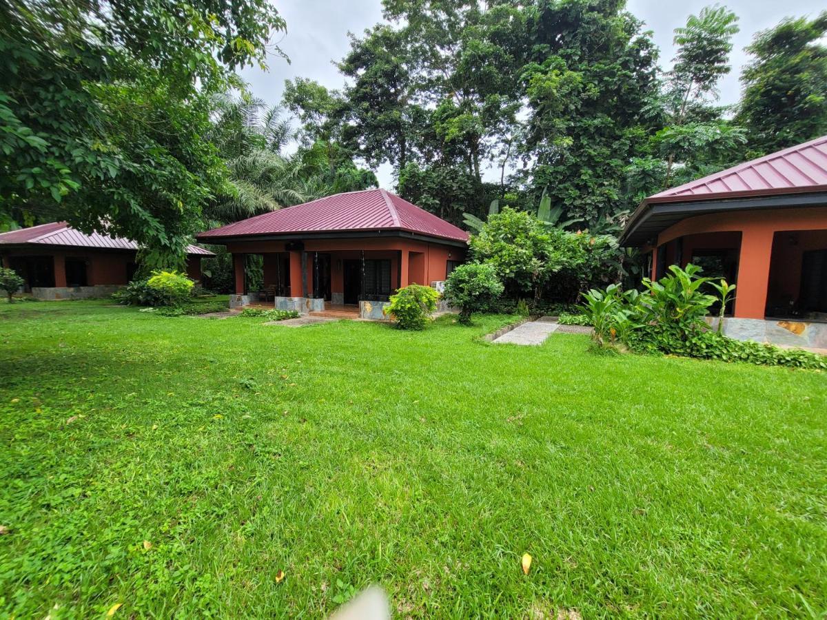 Big Foot Safari Lodge Wli Afegame Kültér fotó